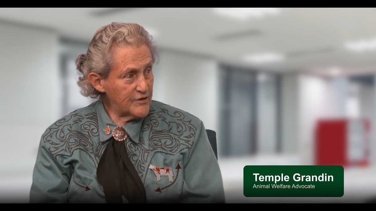 Decades of progress: A conversation with animal welfare expert Temple Grandin