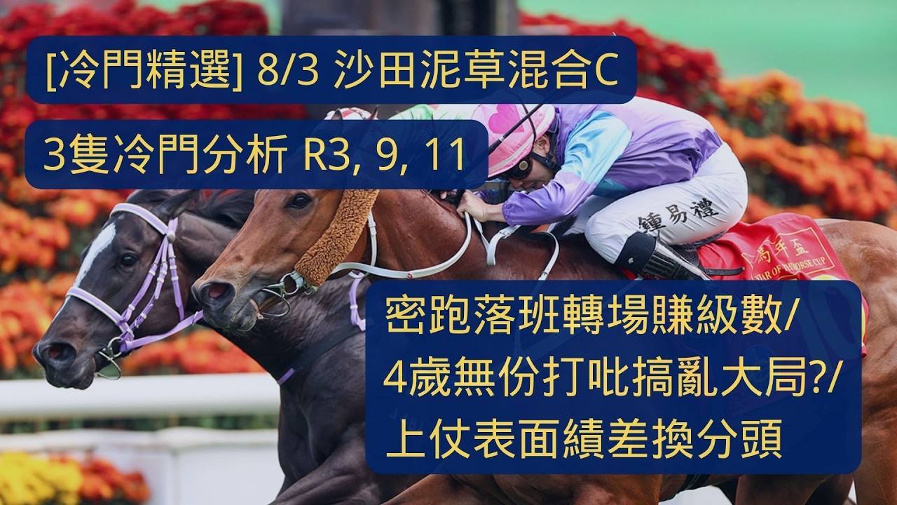 [冷門精選] 3隻冷門分析 R3,9,11 密跑落班轉場賺級數/4歲無份打吡搞亂大局?/上仗表面績差換分頭 [08/03/26 沙田泥草混合C]