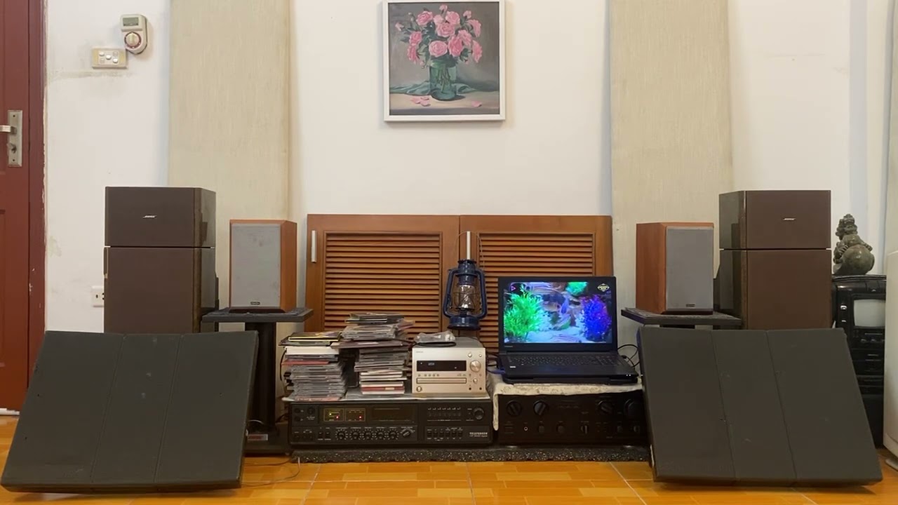 Telefunken HR5000 & beovox red line 45 6504 & Denon D MX11