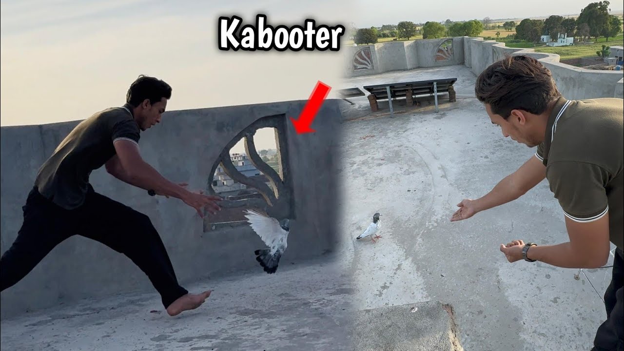 New Kabooter Paked Liya 😱