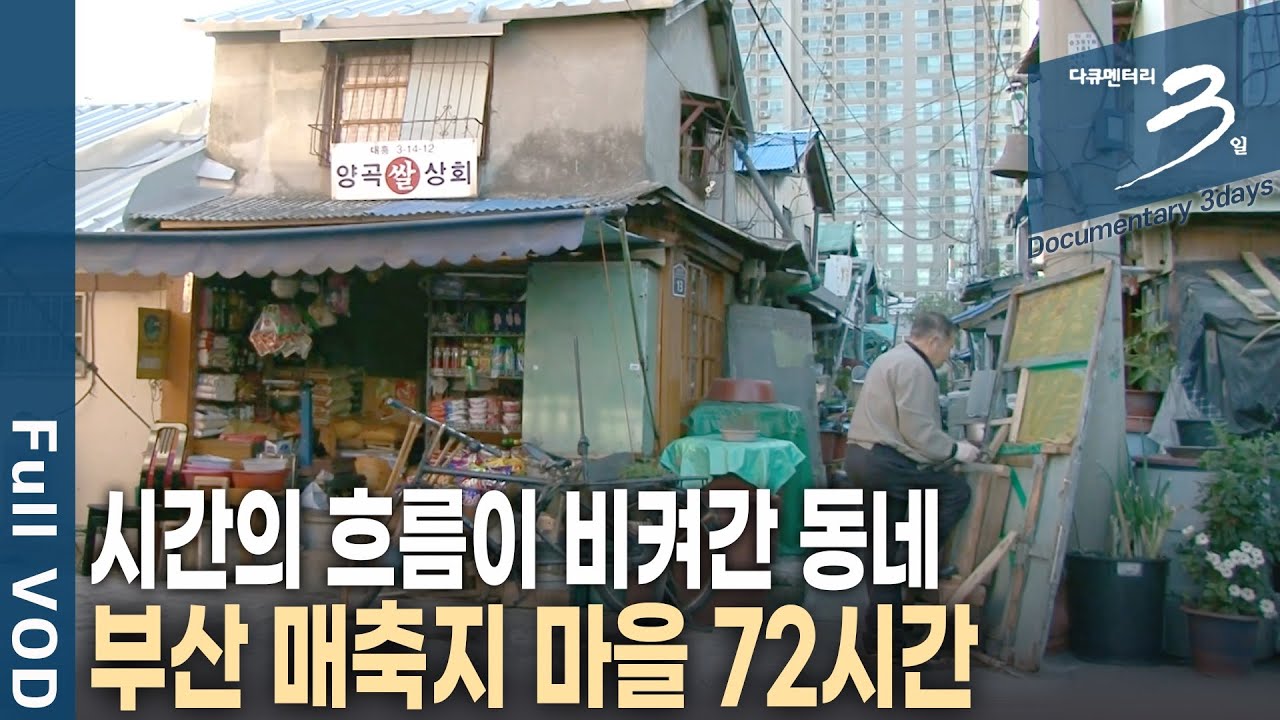 [다큐3일📸] 높은 빌딩과 아파트 속 작은 마을, 영화 '친구', '아저씨' 촬영지, 부산 매축지 마을 72시간 | KBS 2011.12.04 방송