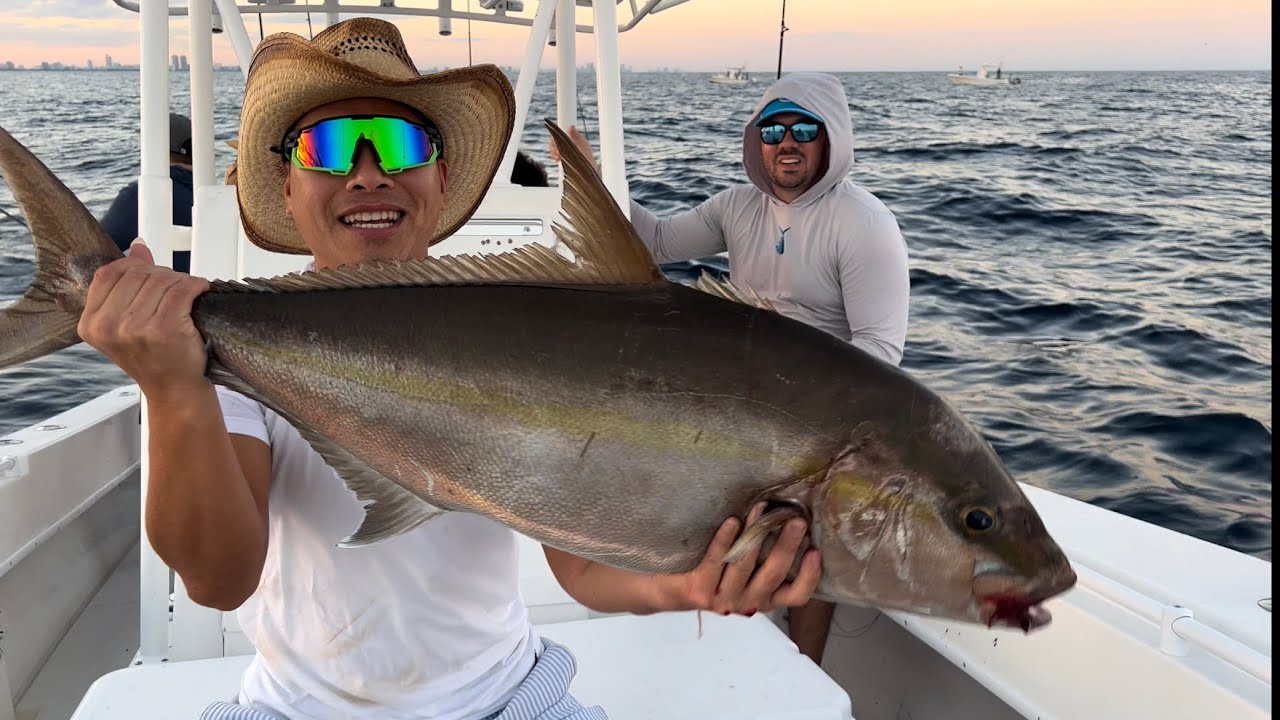 CÂU CÁ TUNA Bằng Cần Câu ĐIỆN Ở Miami, Florida | LuuLinh TV