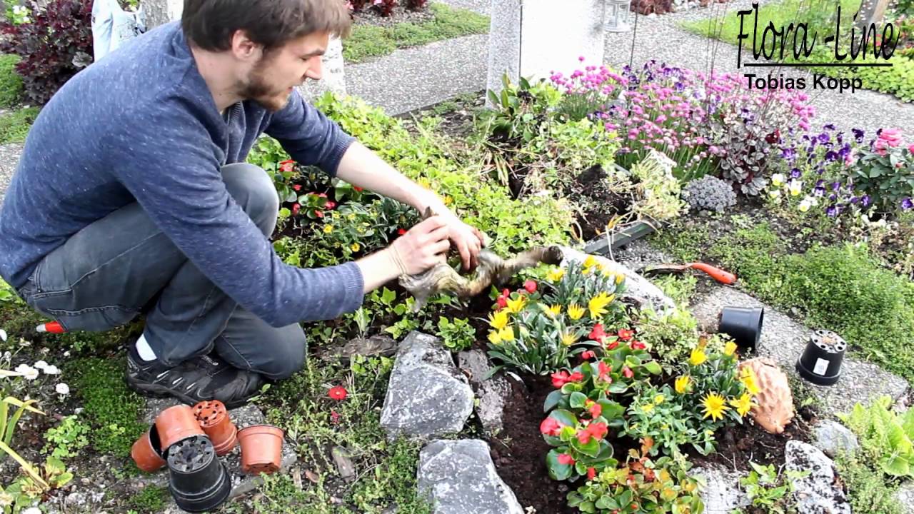 Grabgestalung selber machen: Sommerbepflanzung in Zeitraffer machen