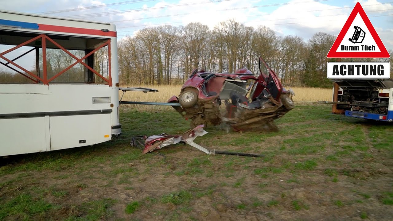 2 Busse vs. 1 Auto | Dumm Tüch