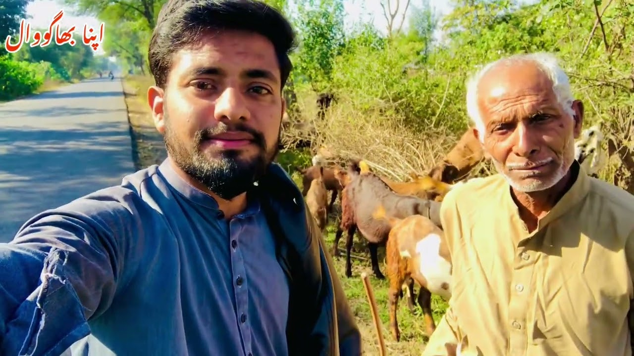 Pakistan 🇵🇰 old man and young man speak funny |village life in Pakistan 🇵🇰 | Amy