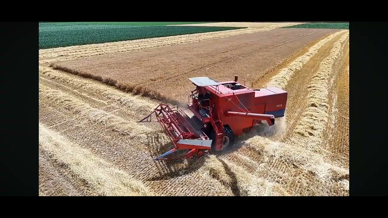 Akcja żniwa już nie długo #oporowocałodobowo #polskawieś #żniwa #agriculture 