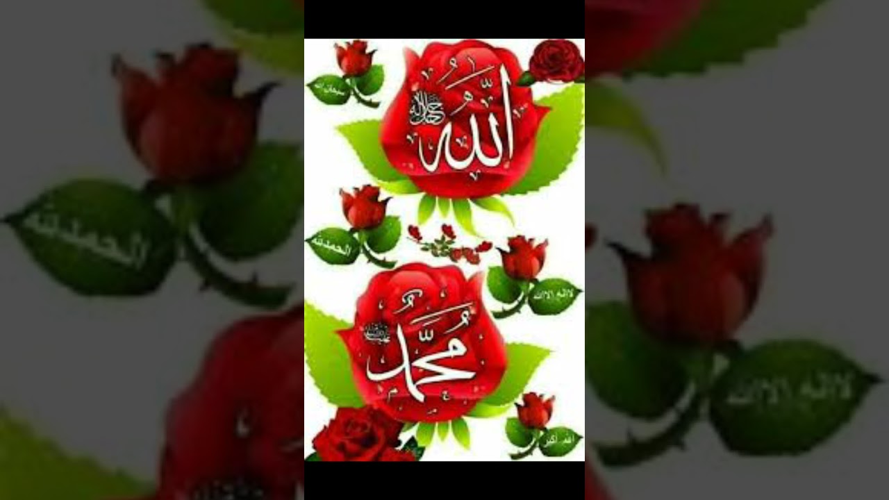 Güzeller güzeli Peygamberim (Sav) var