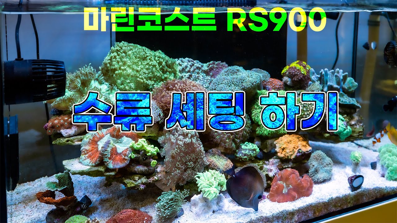 LPS 산호 수조의 수류 세팅하기 - 마린코스트 RS900 기준