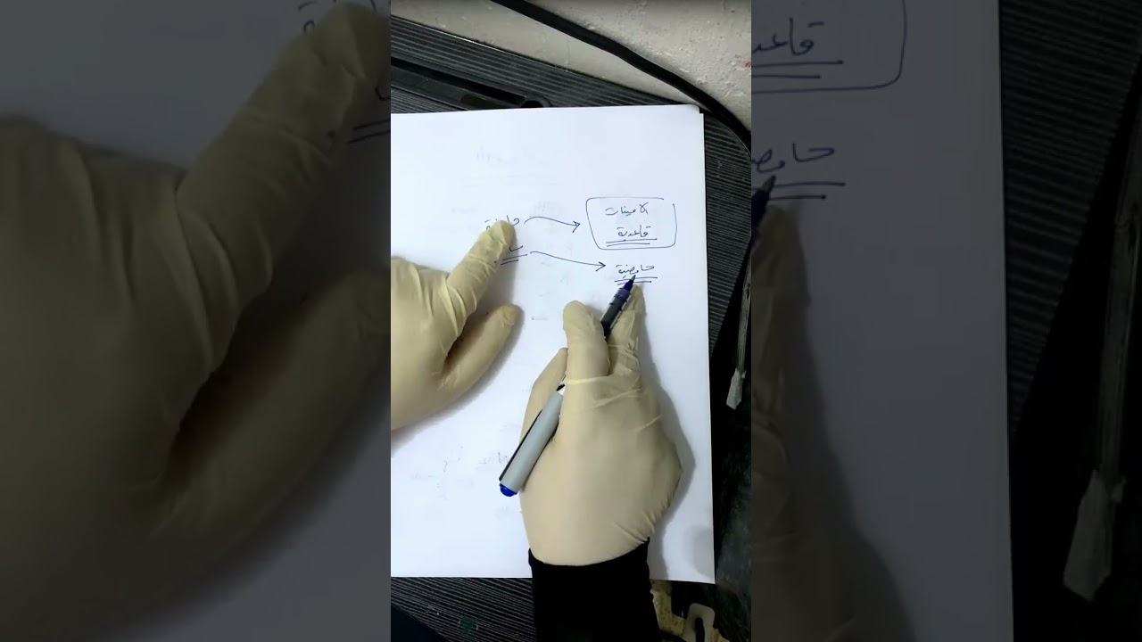 عضوية نظري - الامينات 