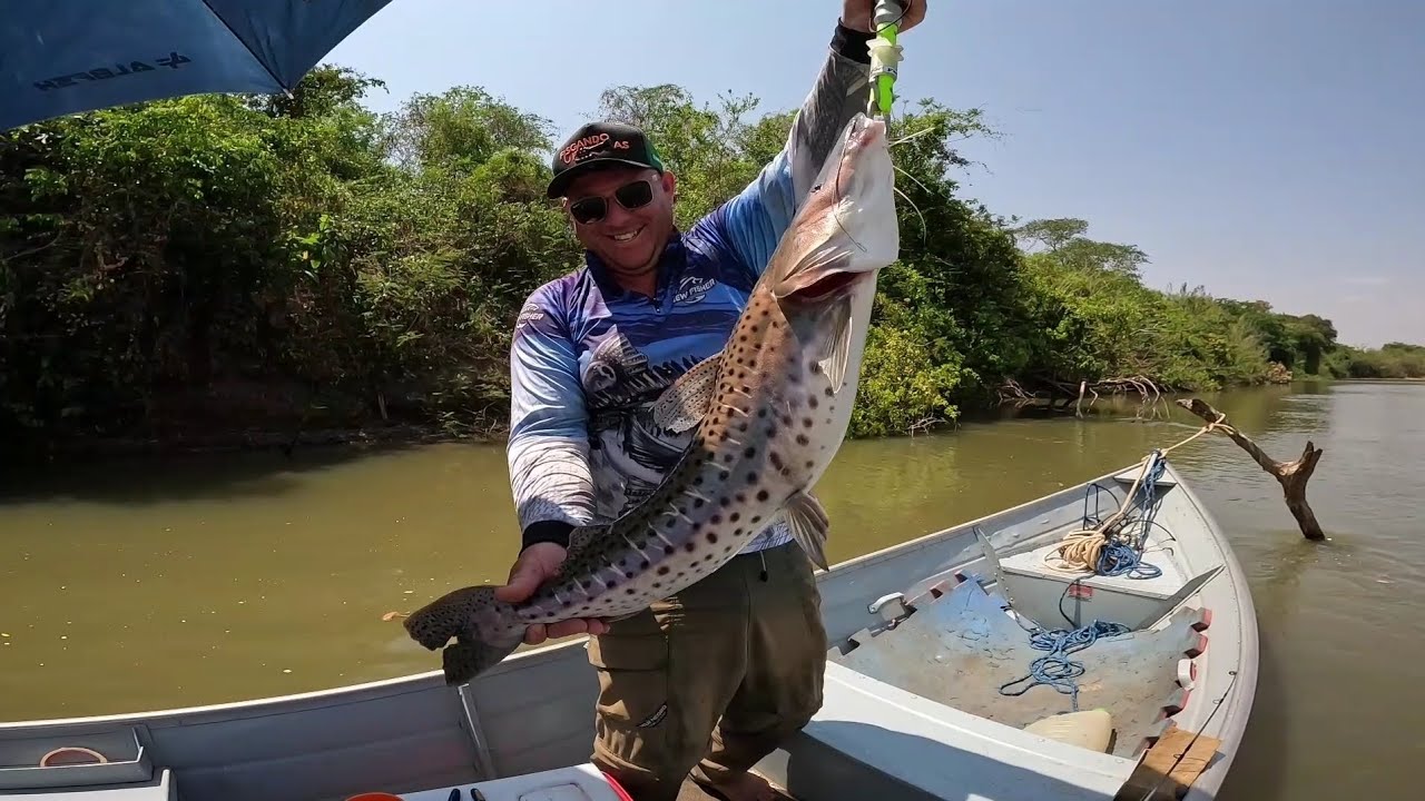 Pescaria incrível com um Pintado grande pego no Rio aguapei 