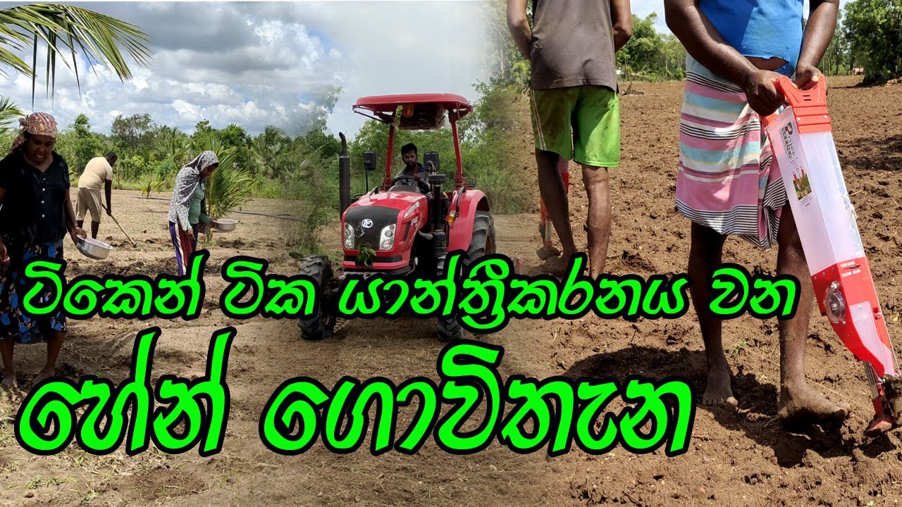 ටිකෙන් ටික යන්ත්‍රීකර්නය වන හේන් ගොවිතැන / Hen govithana / Hen Wagawa / හේන් ගොවිතැන /  හේන් වගාව