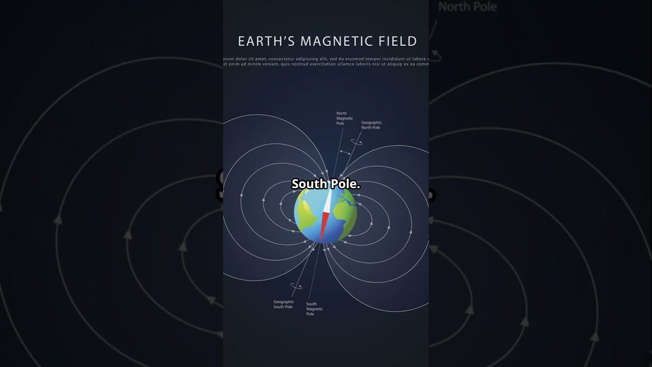 How does a compass work?