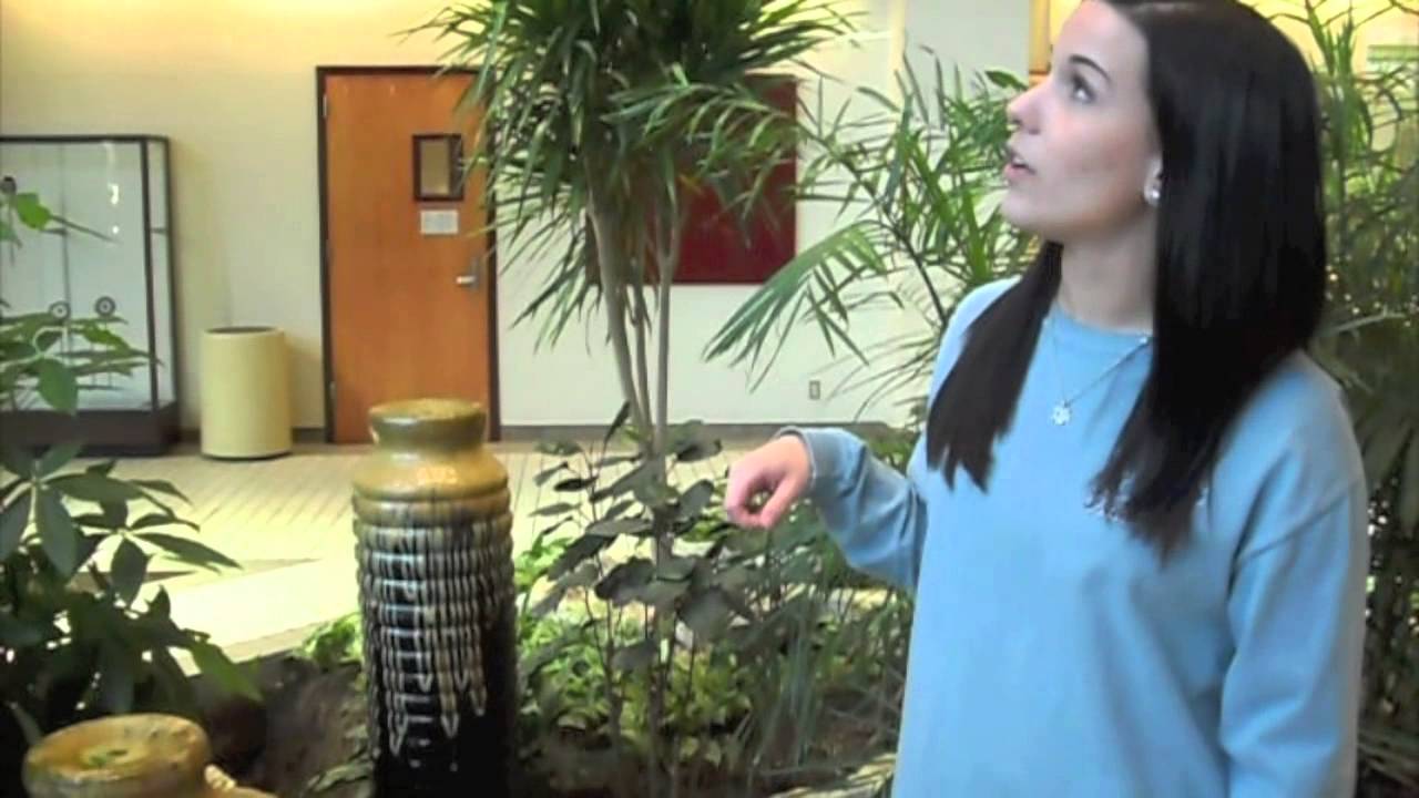 RPTS 402- Biophilic Design & Restorative Environments: A Serene Study Environment