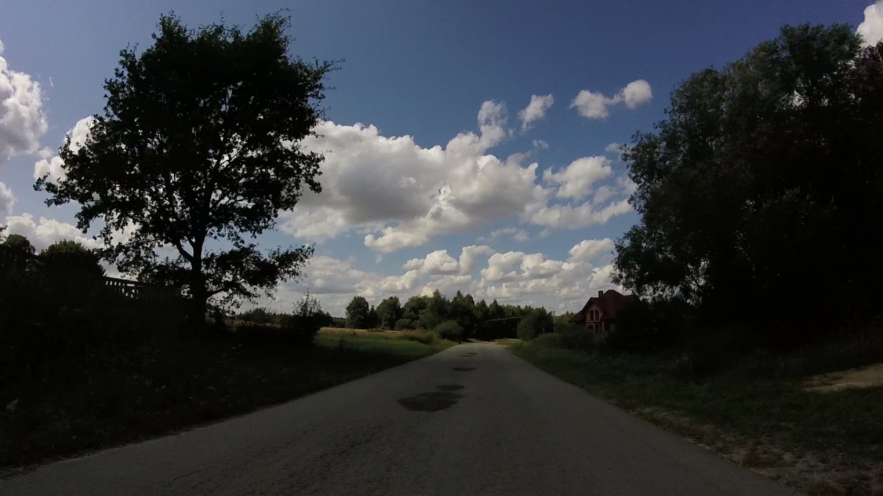 Bieniec
