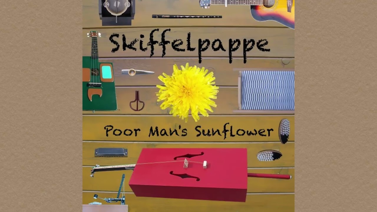 Skiffelpappe - Poor Man's Sunflower