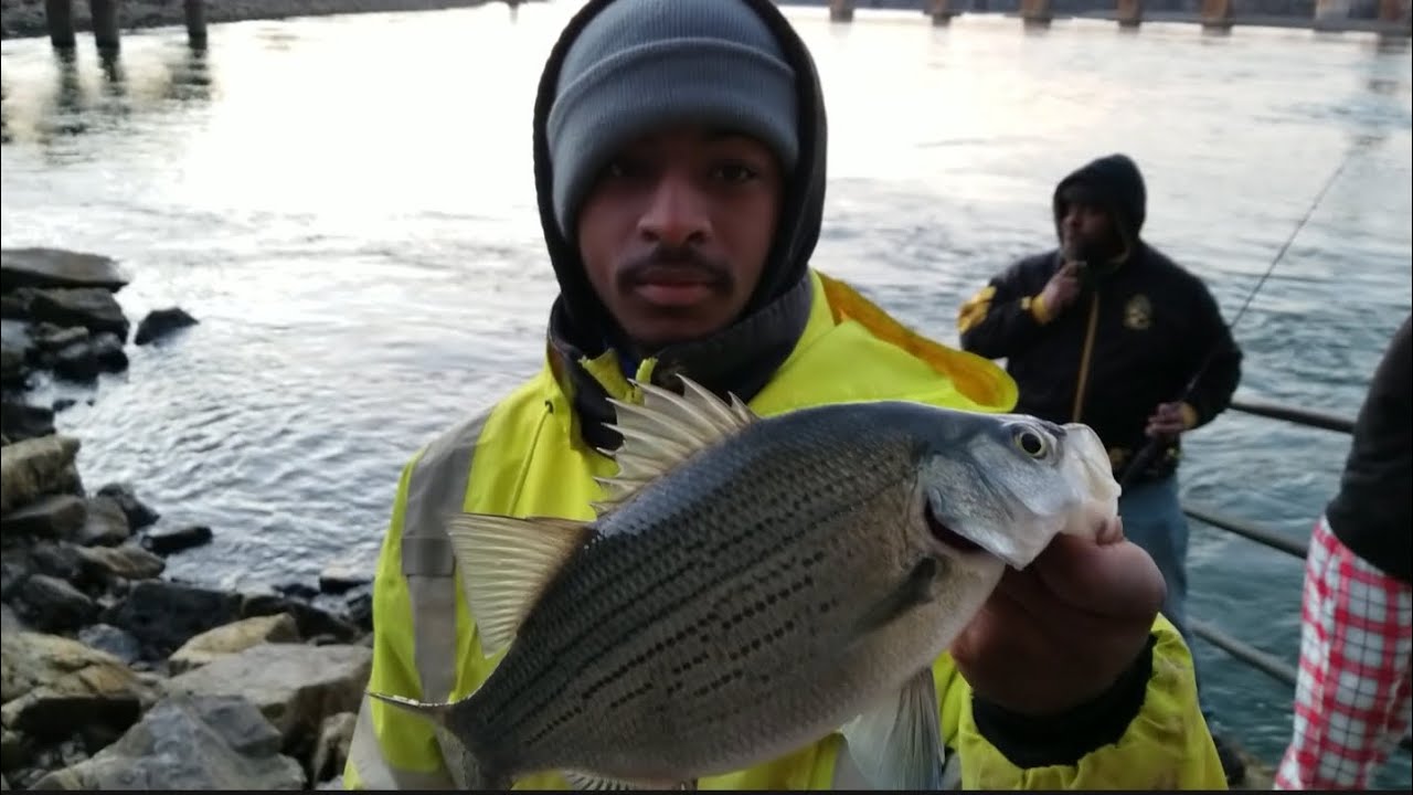 FISHING is EASY | CHATTANOOGA TENNESSEE 