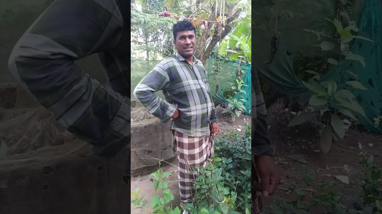 ഇമ്മ കാണാൻ പോയി