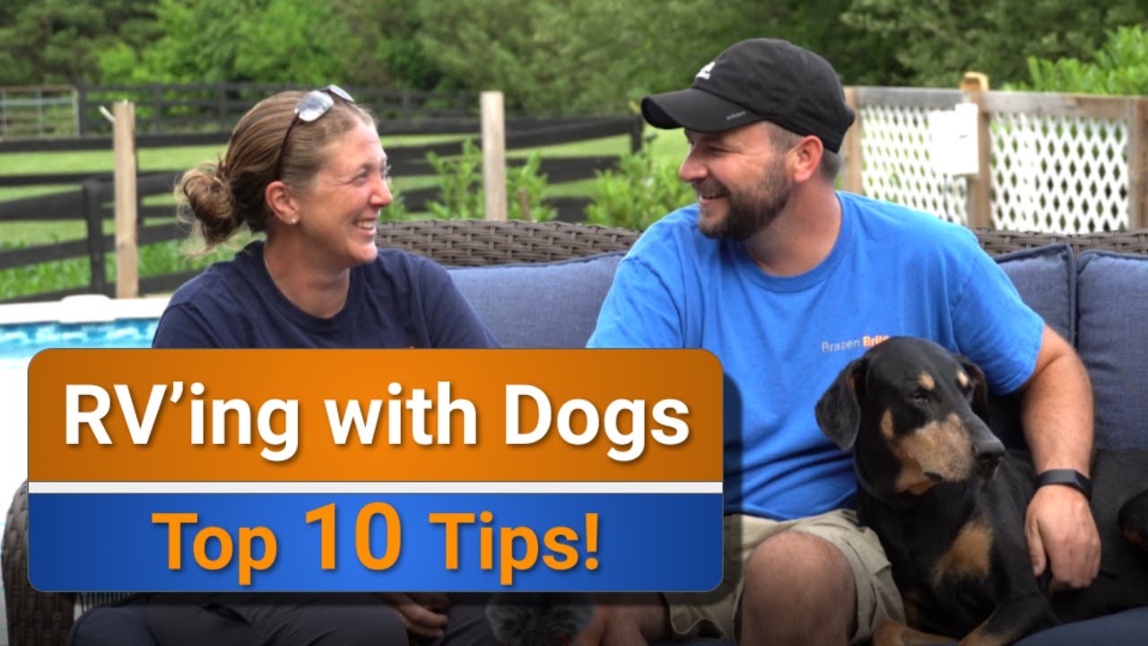 RV Living with dogs - Our Top 10 tips!