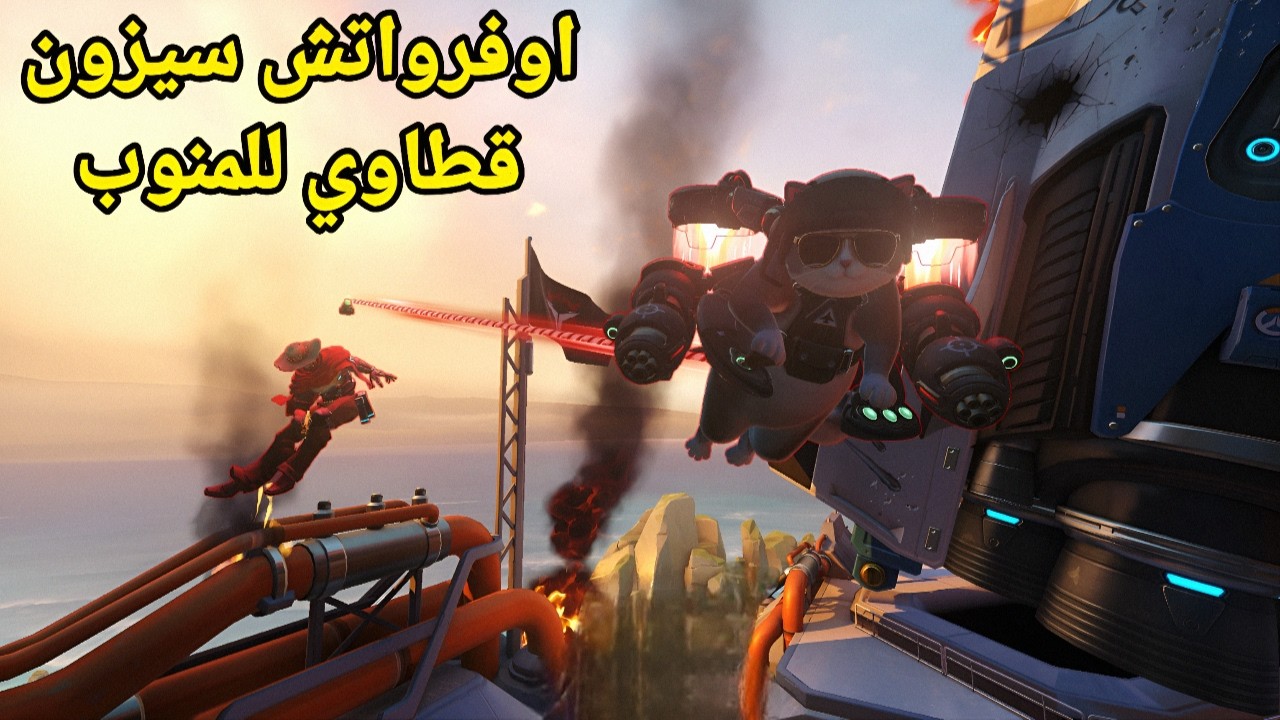 اوفرواتش - ميمز المنوب مع القطوه