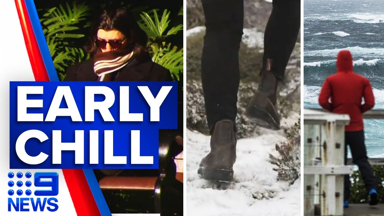 Sydney’s coldest morning this year | 9 News Australia