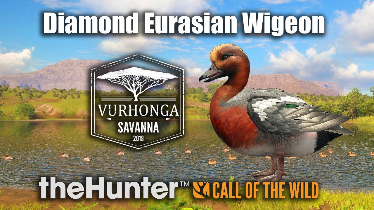 Diamond Eurasian Wigeon - theHunter Call Of The Wild