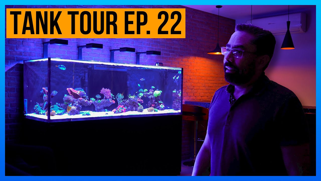 TANQUE TOUR Ep. 22 / Rodolfo García