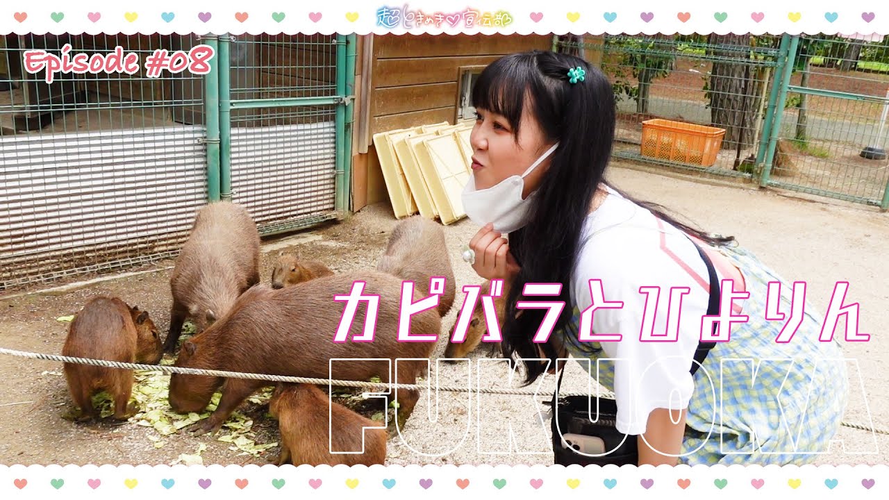 Cho Tokimeki♡VLOG | EP.08 うみなか動物の森🐶＆マリンワールド海の中道へ行ってきました🌊🐬💙💚 in FUKUOKA #TOKISENVLOG #うみなか #福岡