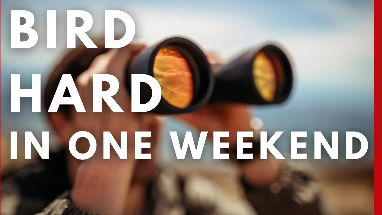 One Weekend Birding Challenge:  How to Maximize Spring Migration in 48 Hours