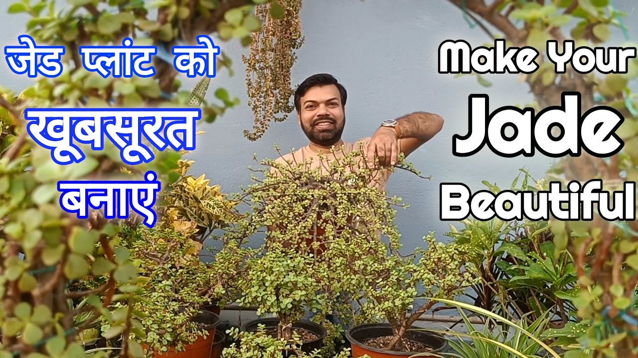 How To Make Jade Beautiful/Making Jade Beautiful/ Give Shape & Size To Jade