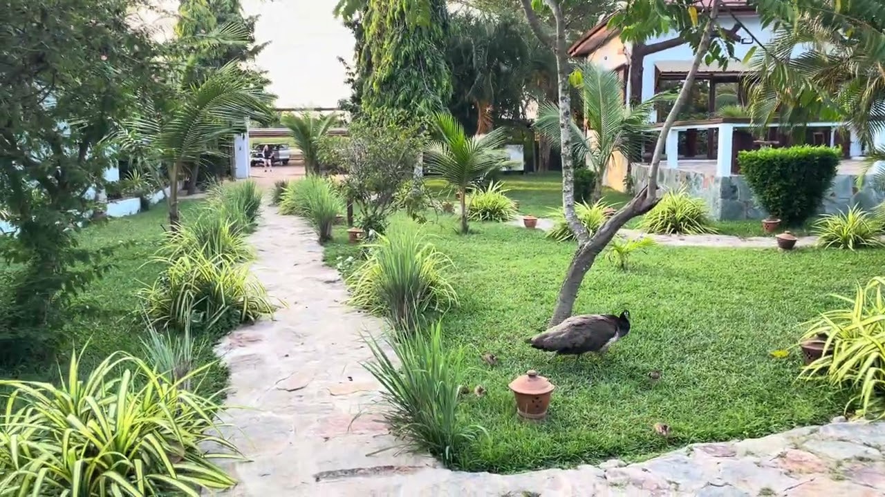 Live in nature @ The Alkebulan Heritage Centre 