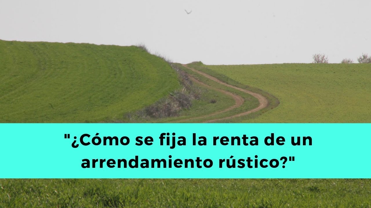 6 cuestiones sobre la renta en los contratos de arrendamiento rústico #arrendamiento