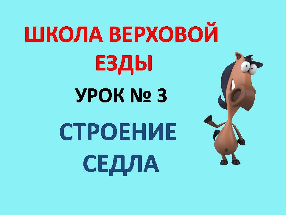 Строение седла