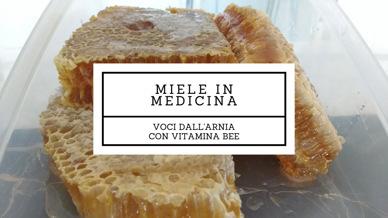 Miele in medicina - Voci dall'arnia di Vitamina Bee (PODCAST)