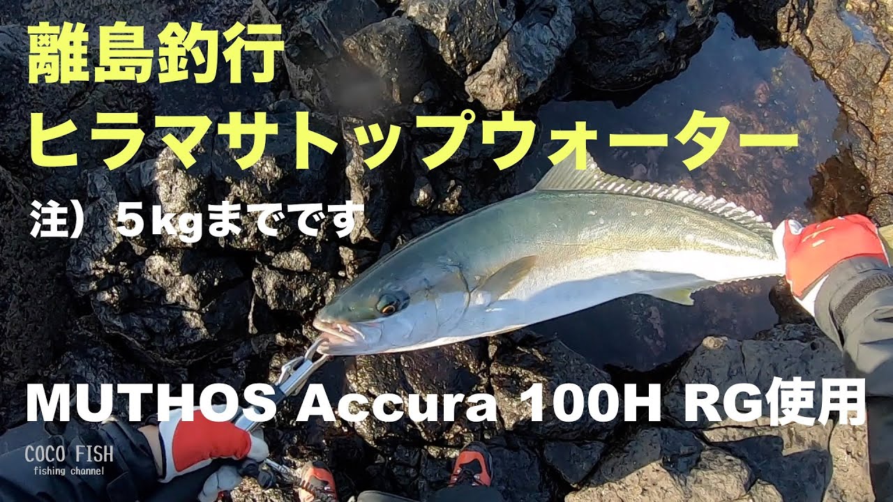 離島のヒラマサトップウォーター　ミュートスアキュラ 100H RG 1080p 注）魚は5kgまでです　ララペン150F