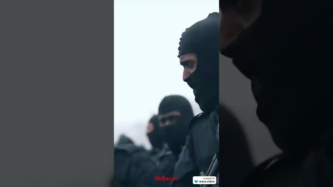 NSG COMMANDO STATUS #nsgcommando #statuscheck #commandostatus #viral