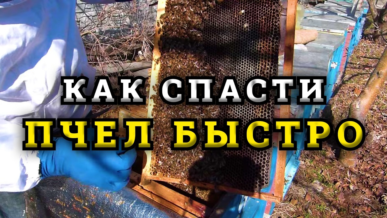 Как помочь слабым семьям?