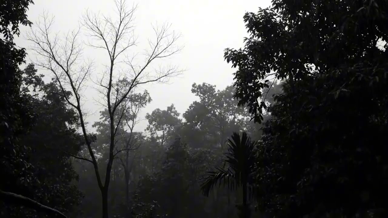 Heavy Rain and Thunderstorm Sounds for Stress Relief and Restful Deep Sleep