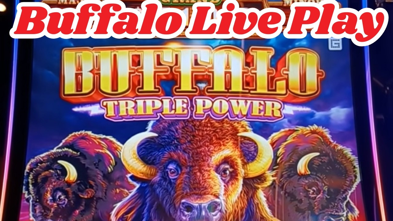 Buffalo Triple Power Live Play