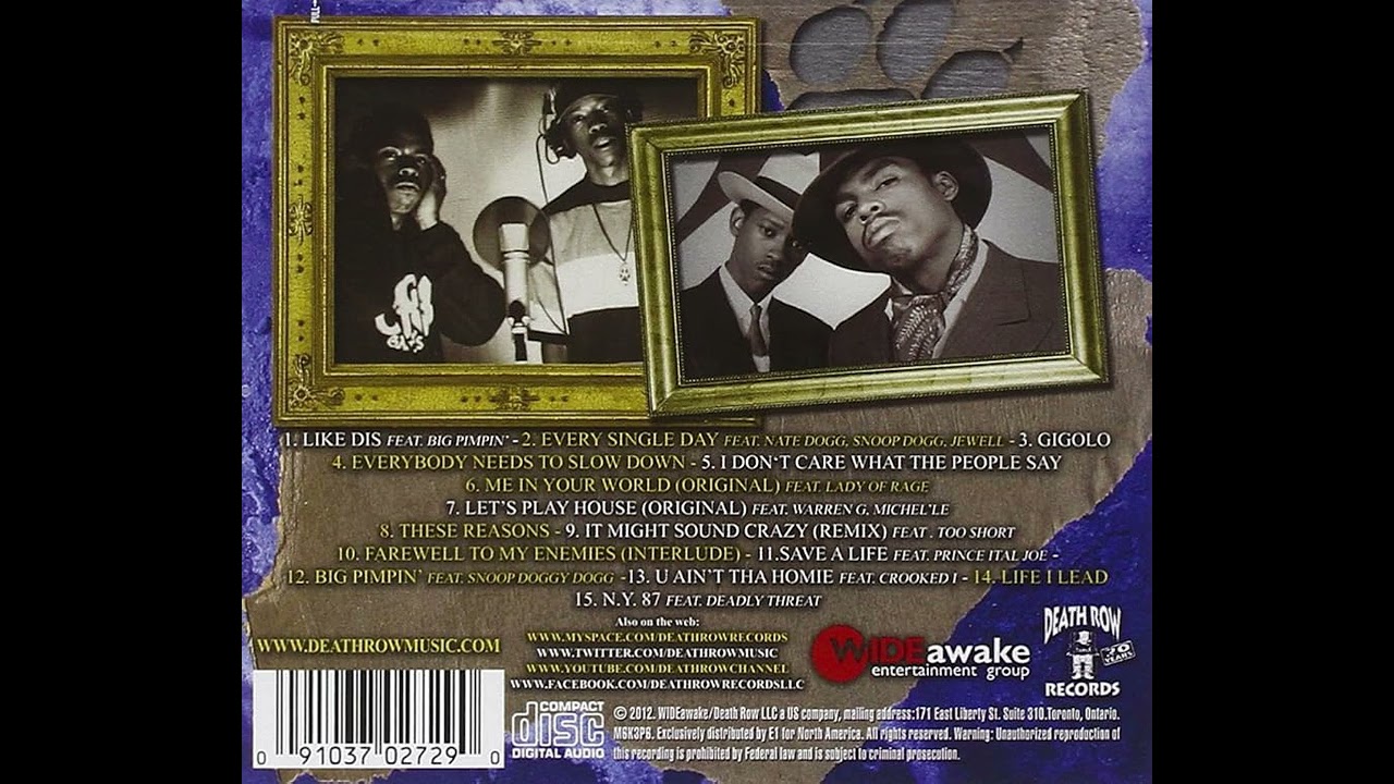 Tha Dogg Pound x 2pac '' What We Got '' G Funk Type Beat