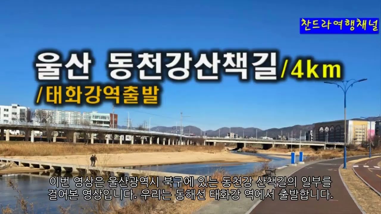 울산동천강산책길/25.1.8#찬드라여행채널