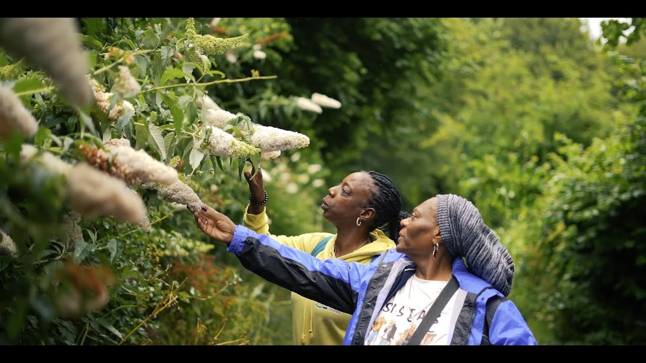 Helping others experience the healing power of walking in nature: Sophia’s story