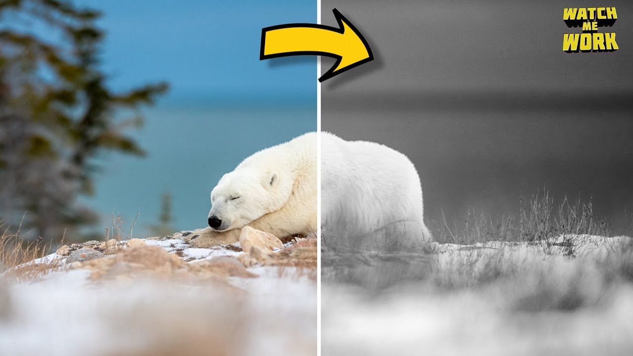 Different Methods of Converting Your Photo to Black & White // Watch Me Work