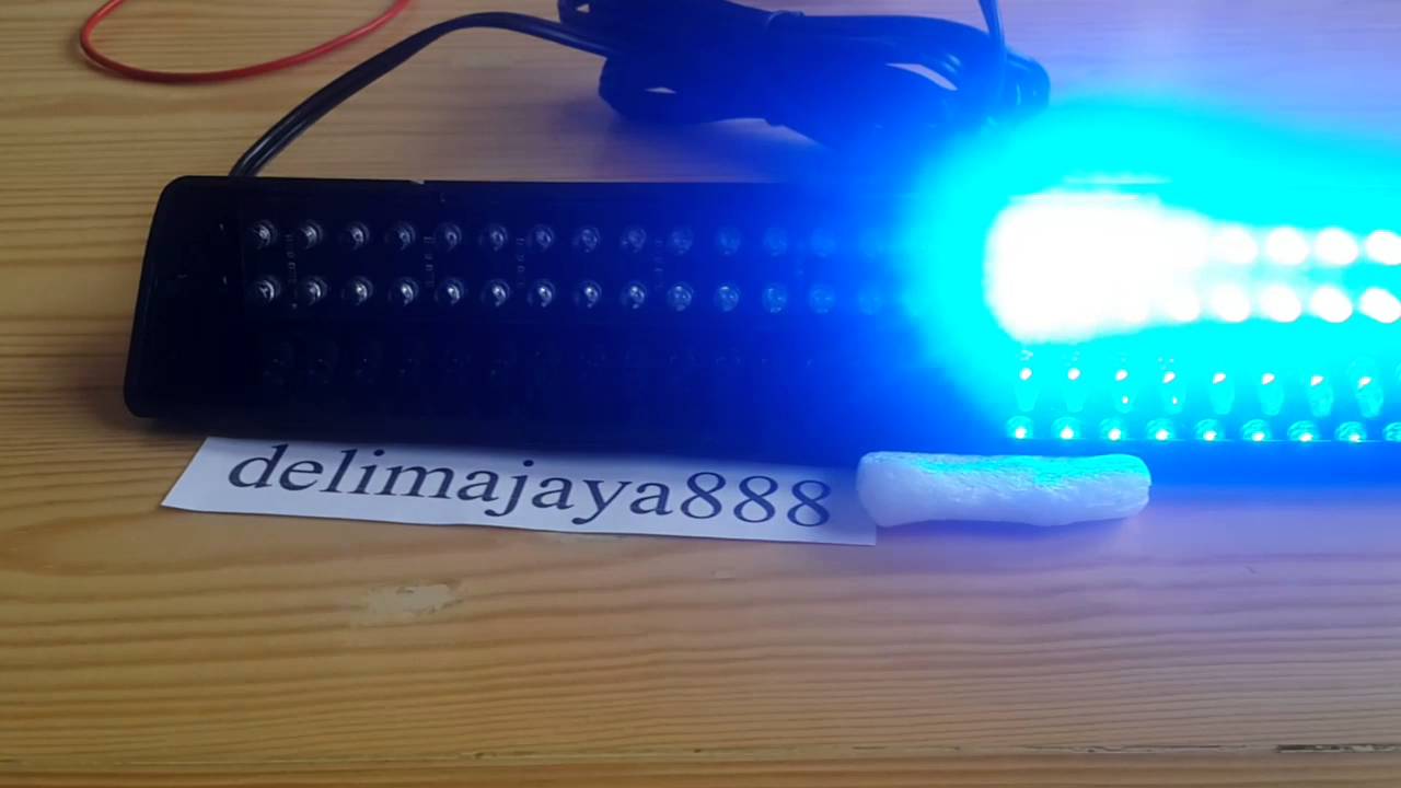 Whelen slim miser blue by delimajaya888