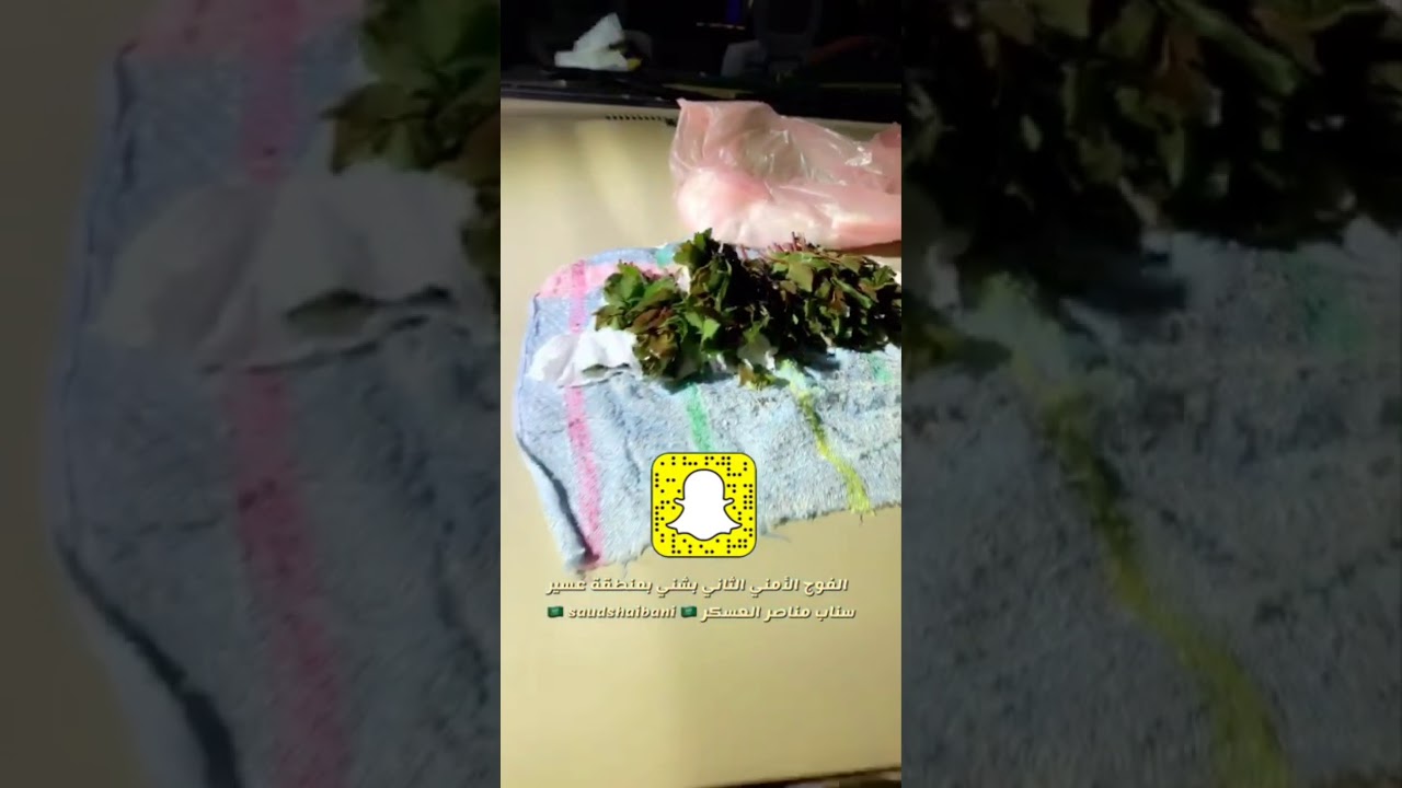 إطلاق النار من قبل الفوج الأمني الثاني يسفر عن القبض على مجموعة متسللين
