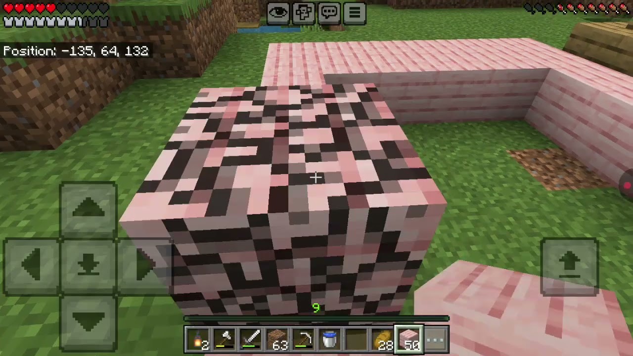 We made a farm in my Minecraft SMP😮🧐