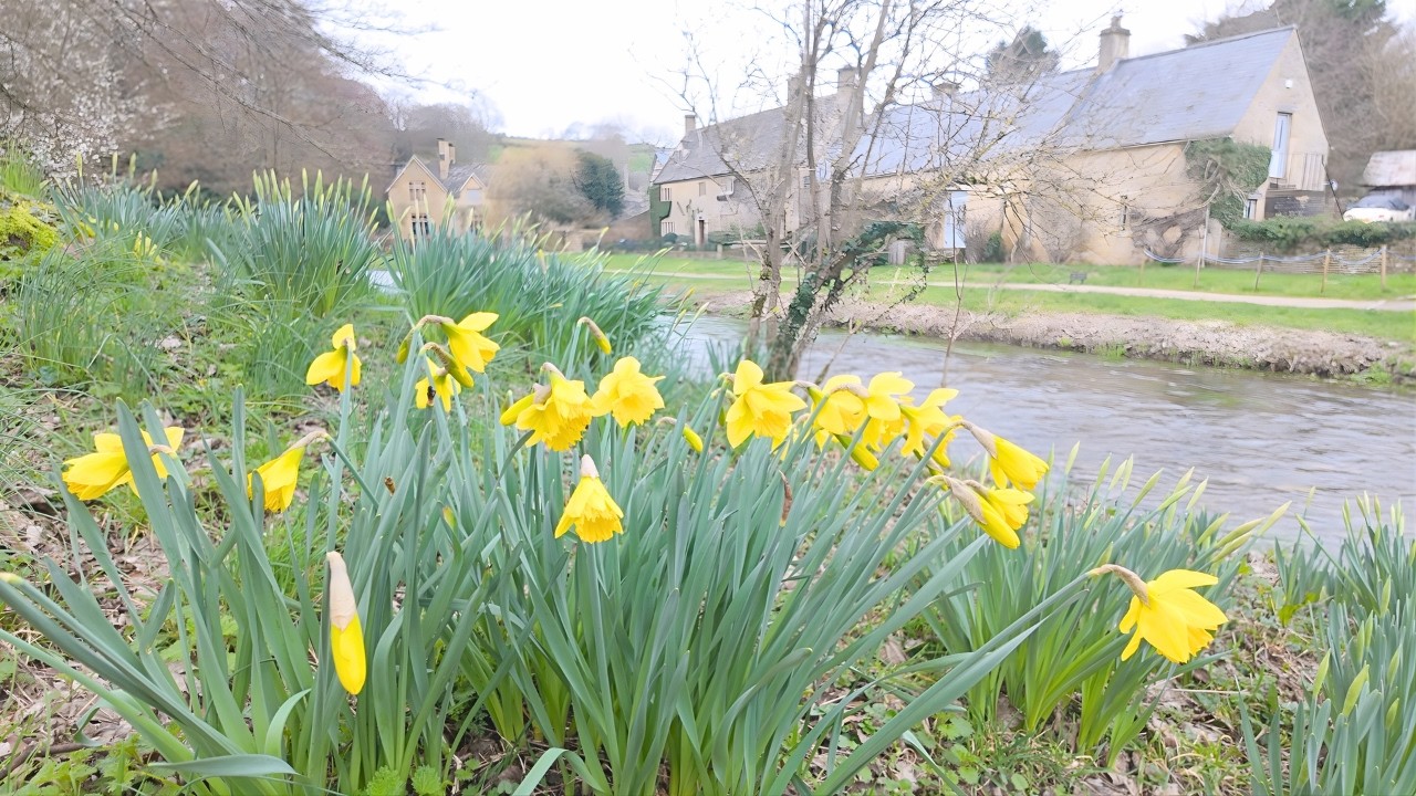Spring Walk from Lower Slaughter to Upper Slaughter 🌼 Most Beautiful Cotswolds Village Walk