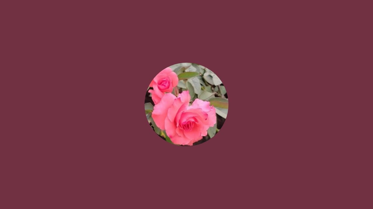 Love flowers  is live!