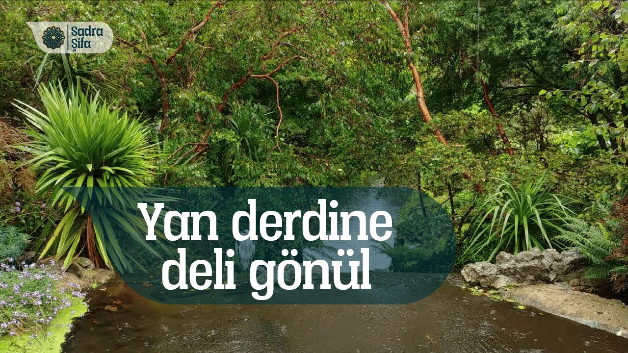 Deli Gönül İlahisi / Yüksek Kalite / Güncel Ses