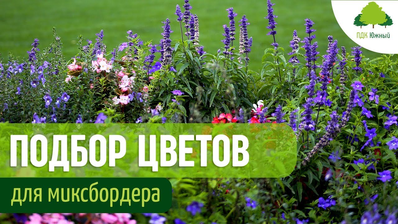 Миксбордер из многолетников. Как выбрать цветы для смешанной посадки в цветочной клумбе