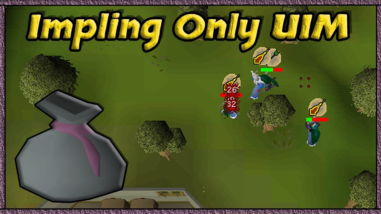 I Never Thought This Item Was Possible - Impling Only UIM (#14)